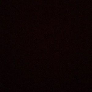 Meet your Posher, Rylee